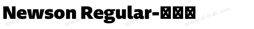 Newson Regular字体转换